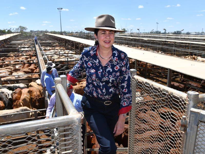 Annastacia Palaszczuk's government will recruit biosecurity officers to prevent livestock diseases. (Darren England/AAP PHOTOS)